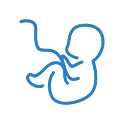 Blue icon of a fetus representing pregnancy care.